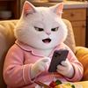 小猫胖橘