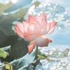 顾老师讲重点