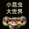 小昆虫大世界