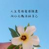 海阳室内装修80后木工—木易