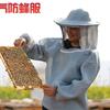强兴蜂业【防蜂服抓红娘金环虎头蜂】