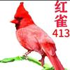 红雀