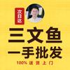 三文鱼批发渠道