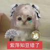 杪冬秒冬