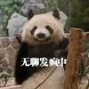 好物分享（小众）