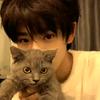 猫饼 失控进化