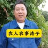 农人农事涛子