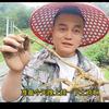 后林大奔
