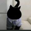 软糖超爱玩