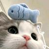 ✨舞✨^ ^（𐙚许狂☣︎舞烬❦︎）