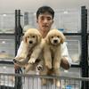 小信萌犬舍
