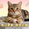 软萌星球饲养员