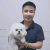 安阳贝贝佳比熊