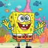 海绵小宝宝