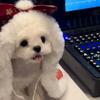 甜甜不甜