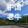 中国老牛
