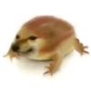 我不是萌主