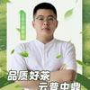 云普中鼎茶业