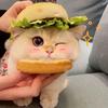 ぅ猫猫吃不饱