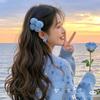 麦浪鱿游