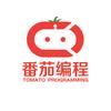 番茄编程