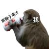 可燃冰🎶