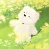 春日负暄