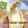 滋滋醉香鸭