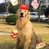 王平安安安安安~