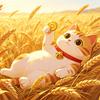 懒猫