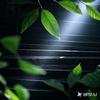 财源滚滚