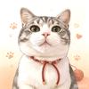 拾玖是只猫🐱