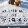 雨水收集