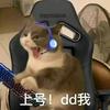 不要压力我