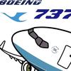 一架停在机坪的737和A320