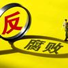 爱国反腐