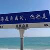 麻辣鸽