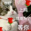 我家cp每天obe