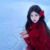 木木家