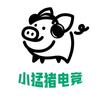 小猛猪电竞