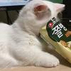 困困、、