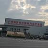Claire （源头出口批量二手车）