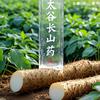 佳禾瑞成·太谷长山药