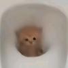 迪迪（糕手鼠）