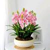精美花卉盆栽