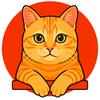 爱玩的橘猫亲戚