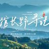 馆长野寻记