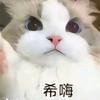 杨心安