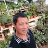 辉县花圃老郭