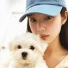 羊村你美姐